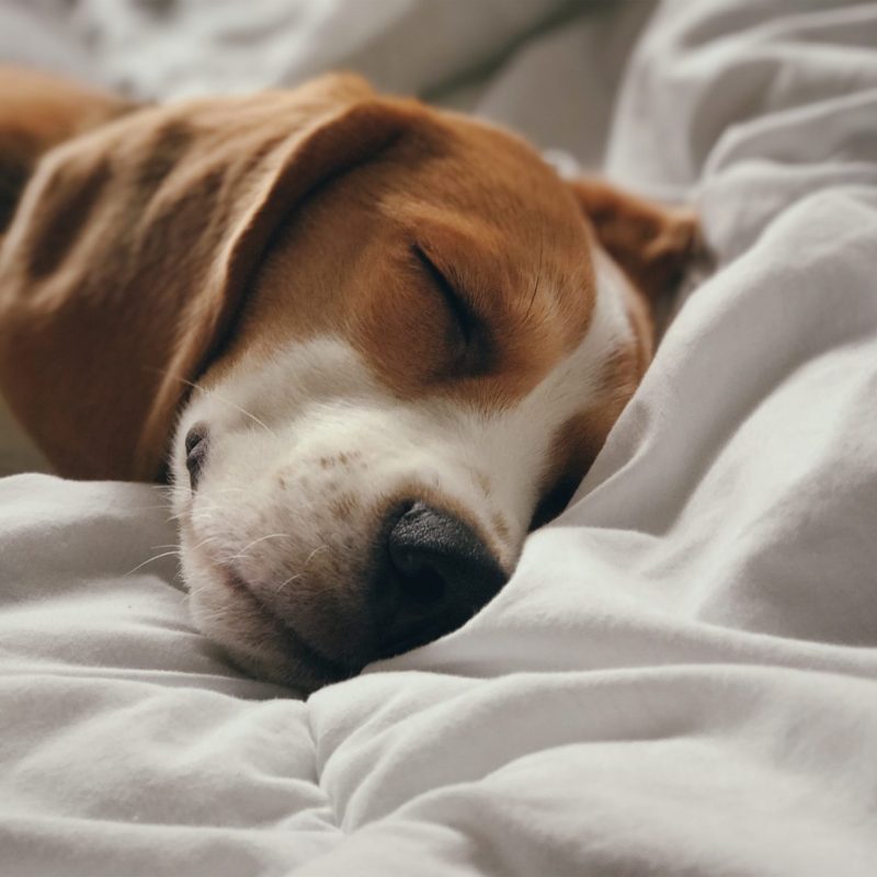 oliver-tUE5JCPg0Co-unsplash