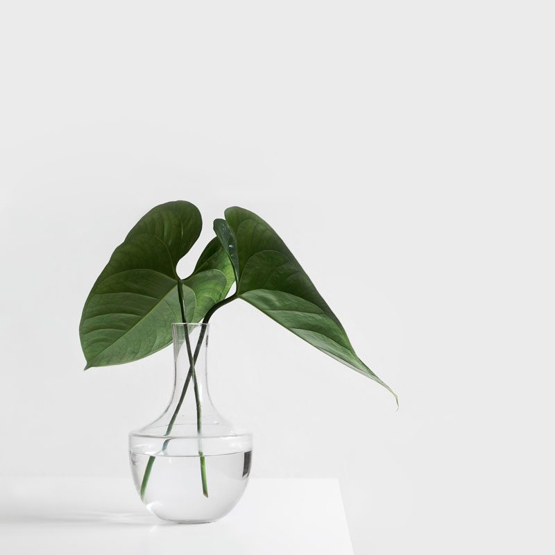glass leaf